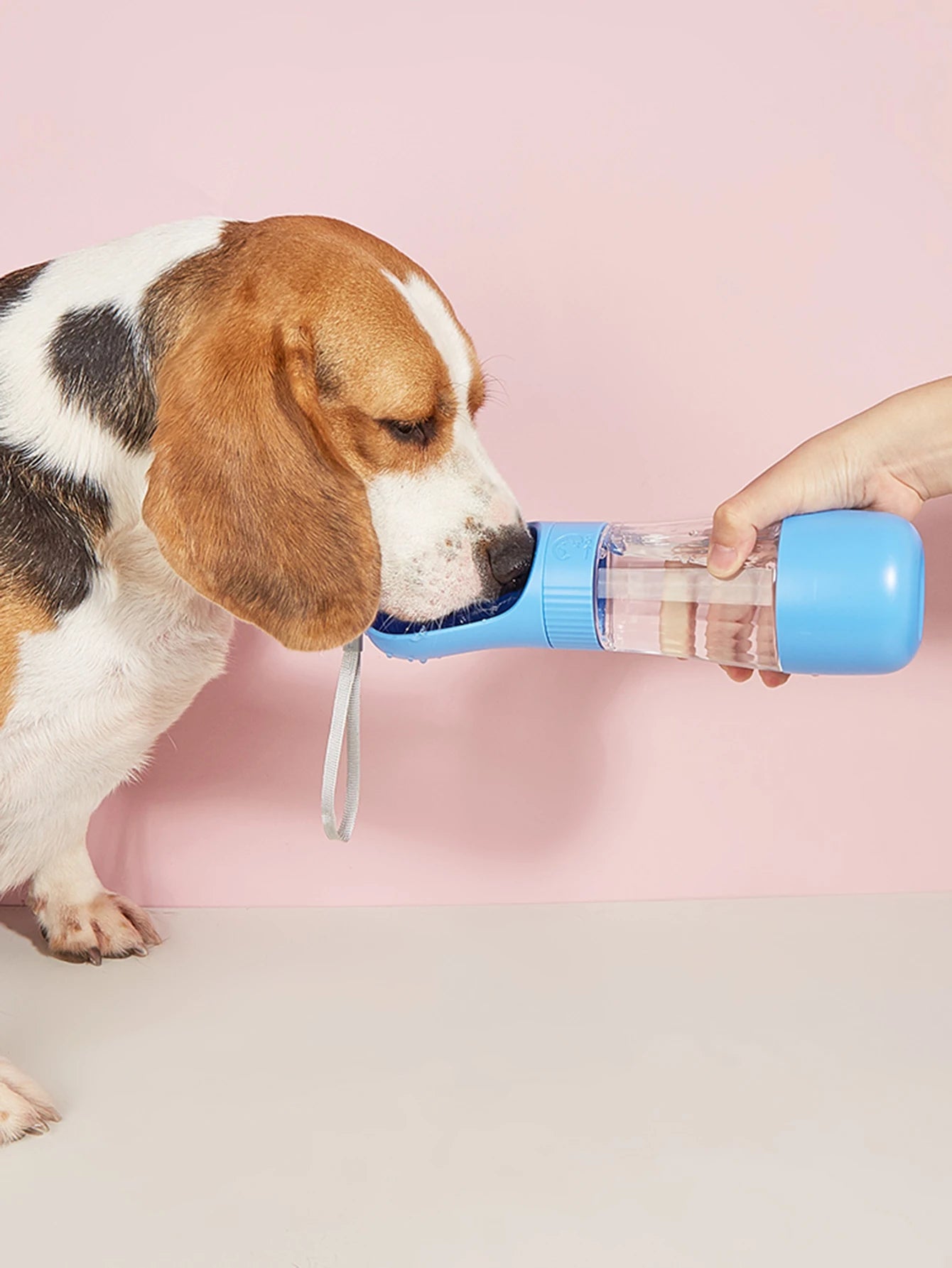 Pet 2 in 1 Portable Dog Water Bottle Food Container for Small Large Dogs Cats Drinking Bowl Outdoor Golden Retriever Supplies